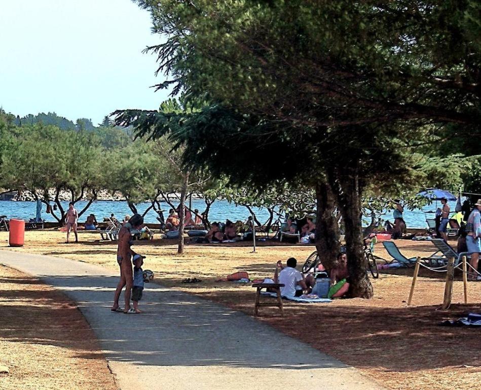 Apartman Ema Novigrad Istria Kültér fotó
